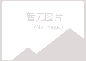 天峻县梦柏能源有限公司